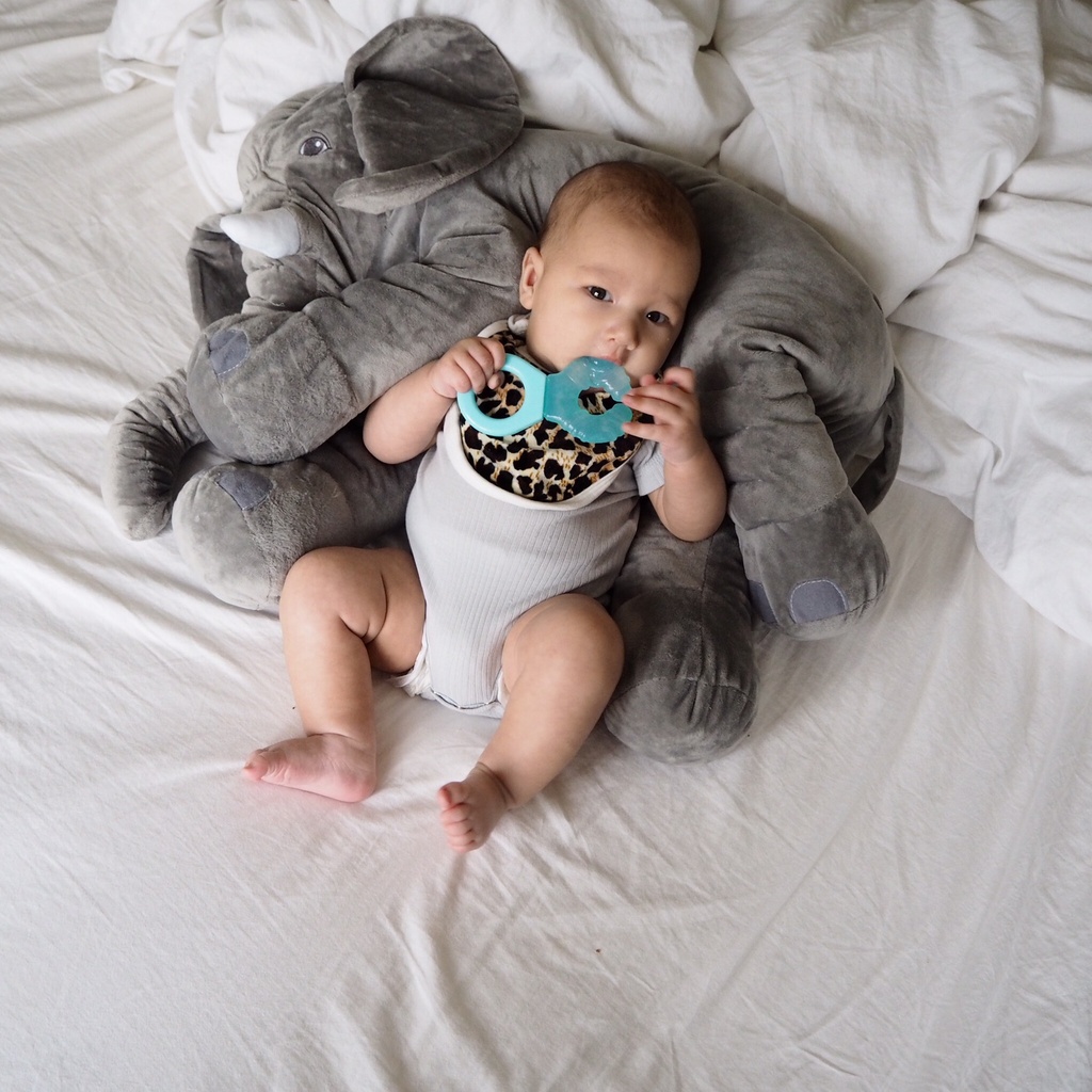 Mordedor Refrigerante 2+m Twistshake 