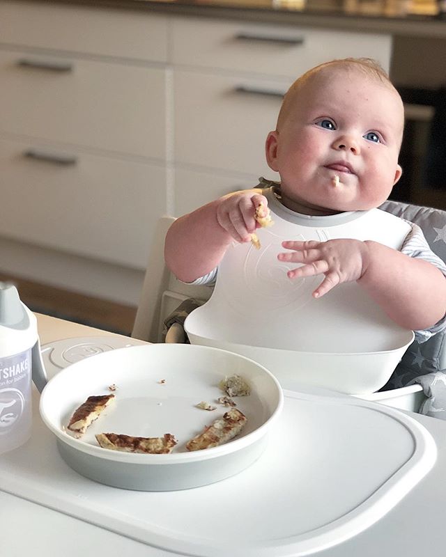 pack-alimentacion-twistshake